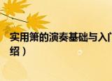 实用箫的演奏基础与入门（关于实用箫的演奏基础与入门介绍）