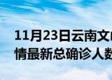 11月23日云南文山疫情最新动态及文山原疫情最新总确诊人数