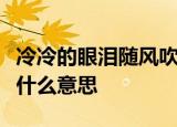 冷冷的眼泪随风吹才知道离别的滋味是什么歌什么意思