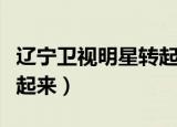 辽宁卫视明星转起来主持人（辽宁卫视明星转起来）