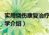 实用烧伤康复治疗学（关于实用烧伤康复治疗学介绍）