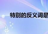 特别的反义词是什么（特别的反义词）