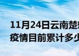 11月24日云南楚雄疫情今日数据及楚雄最新疫情目前累计多少例