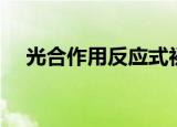 光合作用反应式初一（光合作用反应式）