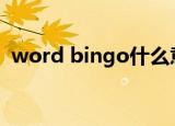 word bingo什么意思（binggo什么意思）