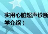 实用心脏超声诊断学（关于实用心脏超声诊断学介绍）
