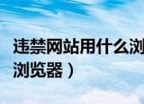违禁网站用什么浏览器苹果（违禁网站用什么浏览器）