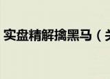 实盘精解擒黑马（关于实盘精解擒黑马介绍）