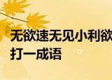 无欲速无见小利欲速则不达见小利则大事不成打一成语