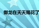 御龙在天天赐花了多少钱（御龙在天天赐）