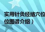 实用针灸经络穴位图谱（关于实用针灸经络穴位图谱介绍）
