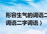 形容生气的词语二字词语aabb（形容生气的词语二字词语）