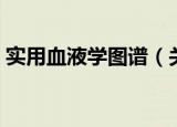 实用血液学图谱（关于实用血液学图谱介绍）