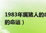 1983年属猪人的命运男猪女（1983年属猪人的命运）