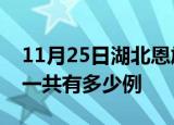 11月25日湖北恩施疫情最新通报及恩施疫情一共有多少例