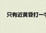 只有近黄昏打一字（人近黄昏打一数字）