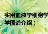 实用血液学细胞学图谱（关于实用血液学细胞学图谱介绍）