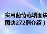 实用葡萄栽培图诀272例（关于实用葡萄栽培图诀272例介绍）