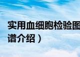 实用血细胞检验图谱（关于实用血细胞检验图谱介绍）