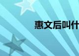 惠文后叫什么名字（惠文后）