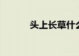 头上长草什么意思（头上长草）