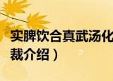 实脾饮合真武汤化裁（关于实脾饮合真武汤化裁介绍）