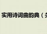 实用诗词曲韵典（关于实用诗词曲韵典介绍）