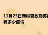 11月25日新疆克孜勒苏疫情新增确诊数及克孜勒苏现在总共有多少疫情