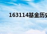 163114基金历史净值查询（163114）
