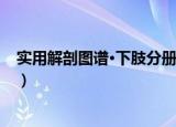 实用解剖图谱·下肢分册（关于实用解剖图谱·下肢分册介绍）