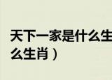 天下一家是什么生肖科学爆出（天下一家是什么生肖）