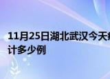 11月25日湖北武汉今天疫情近期情况及武汉最新疫情目前累计多少例