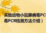 实验动物小鼠腺病毒PCR检测方法（关于实验动物小鼠腺病毒PCR检测方法介绍）