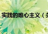 实践的唯心主义（关于实践的唯心主义介绍）
