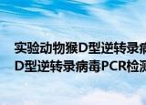 实验动物猴D型逆转录病毒PCR检测方法（关于实验动物猴D型逆转录病毒PCR检测方法介绍）