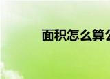 面积怎么算公式（面积怎么算）