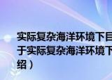 实际复杂海洋环境下目标的电磁散射与逆散射特征研究（关于实际复杂海洋环境下目标的电磁散射与逆散射特征研究介绍）