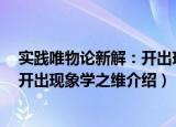 实践唯物论新解：开出现象学之维（关于实践唯物论新解：开出现象学之维介绍）