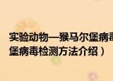 实验动物—猴马尔堡病毒检测方法（关于实验动物—猴马尔堡病毒检测方法介绍）