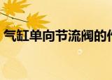 气缸单向节流阀的作用（单向节流阀的作用）