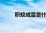 积蚊成雷是什么生肖（积蚊成雷）