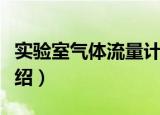 实验室气体流量计（关于实验室气体流量计介绍）