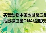 实验动物中国地鼠微卫星DNA检测方法（关于实验动物中国地鼠微卫星DNA检测方法介绍）