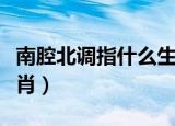南腔北调指什么生肖狗吗（南腔北调指什么生肖）