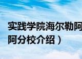实践学院海尔勒阿分校（关于实践学院海尔勒阿分校介绍）