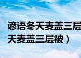 谚语冬天麦盖三层被来年枕着馒头睡（谚语冬天麦盖三层被）