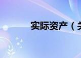 实际资产（关于实际资产介绍）