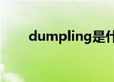 dumpling是什么意思翻译中文翻译