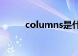 columns是什么意思（column）