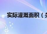 实际灌溉面积（关于实际灌溉面积介绍）